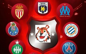 ⚠️😍 Liste des clubs qui ont confirmé leur présence pour les phases finales de la Tiger Cup Officiel ⚠️